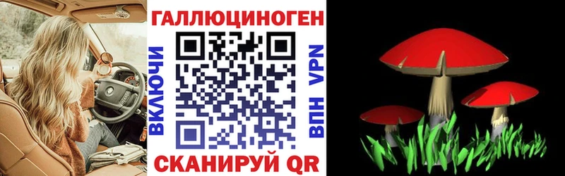 Галлюциногенные грибы Cubensis  Новомосковск 